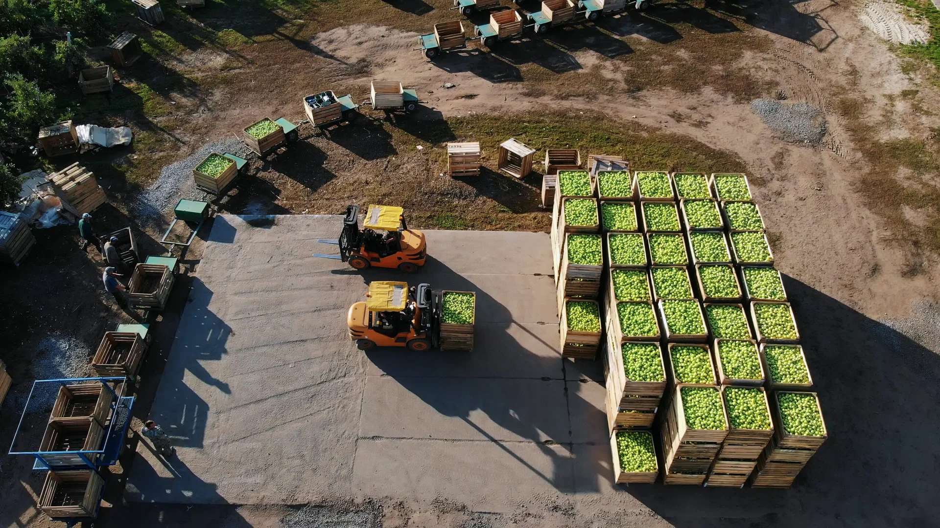 Logística de Entrega na Produção Agrícola: Como Garantir Pontualidade e Qualidade