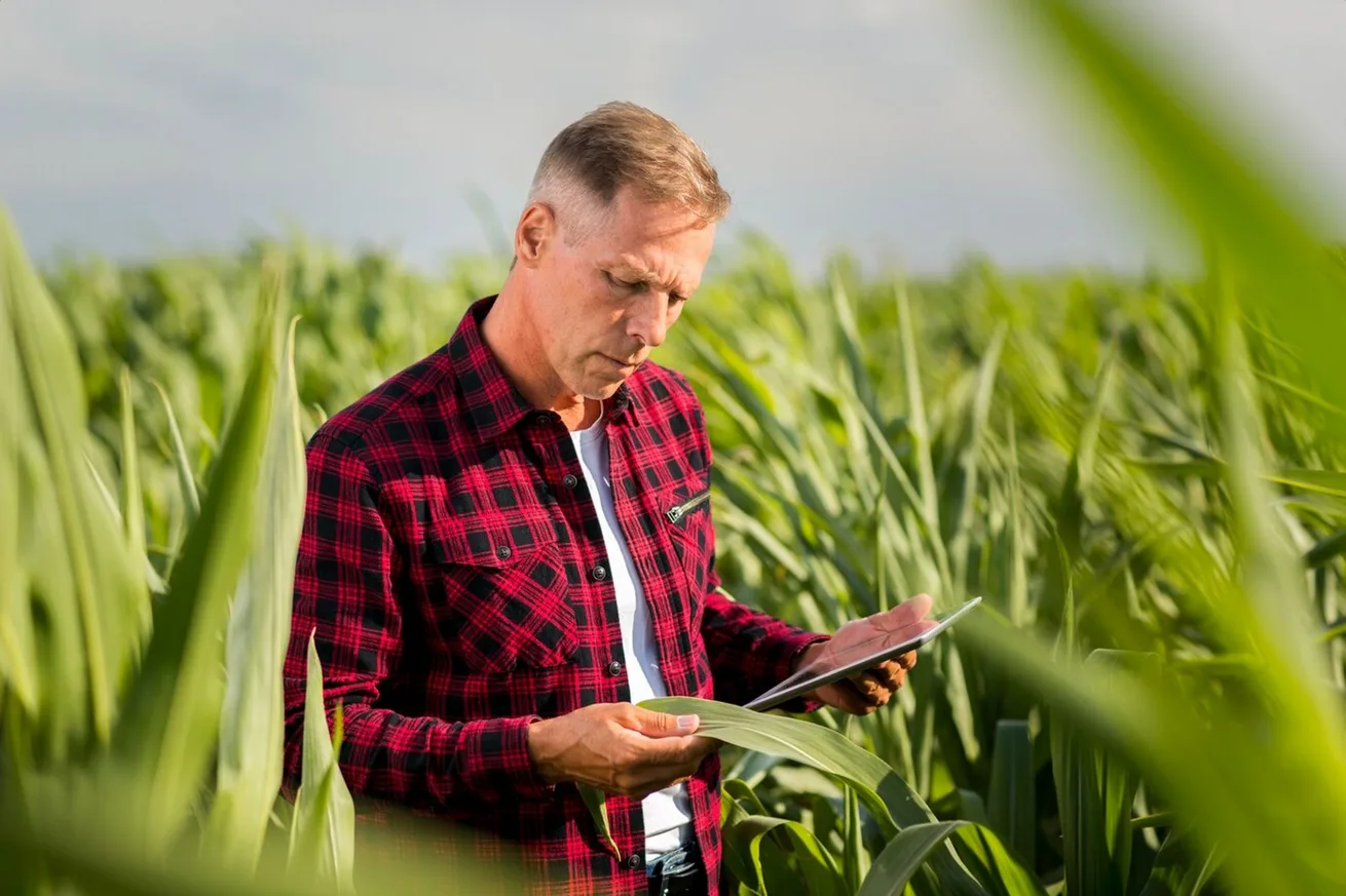 Pessoa consultando um tablet em uma área cultivada