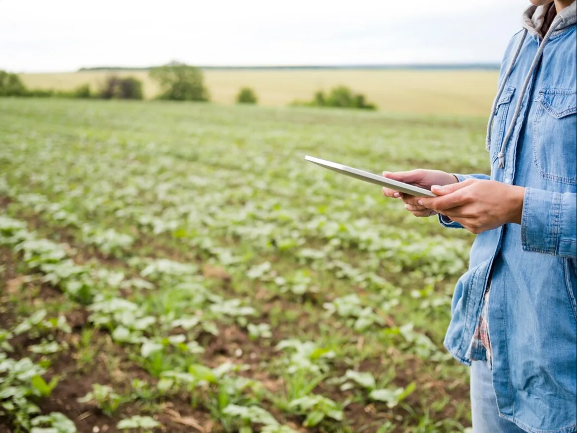 Planejamento da Produção: Estratégias para Maximizar a Eficiência Agrícola