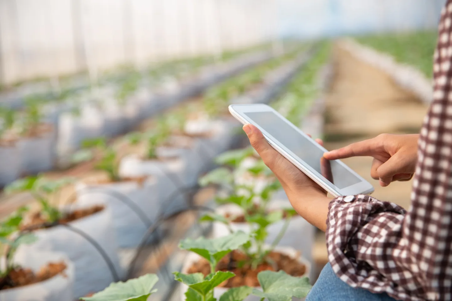 Indicadores de Desempenho Agrícola: Quais Acompanhar para Melhorar a Gestão da Produção