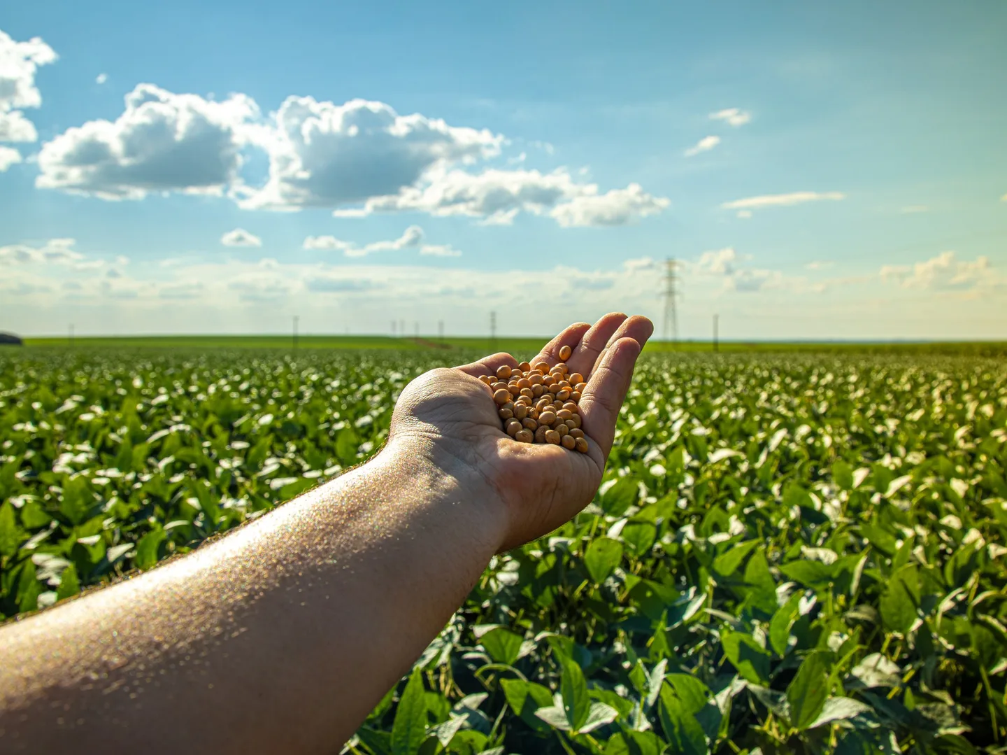 Custos Ocultos na Produção Agrícola: Como Identificá-los e Reduzir Impactos no Lucro