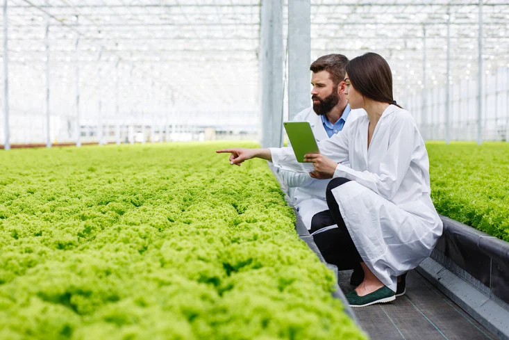 Tecnologias na Agricultura: Inovações que Transformam o Campo