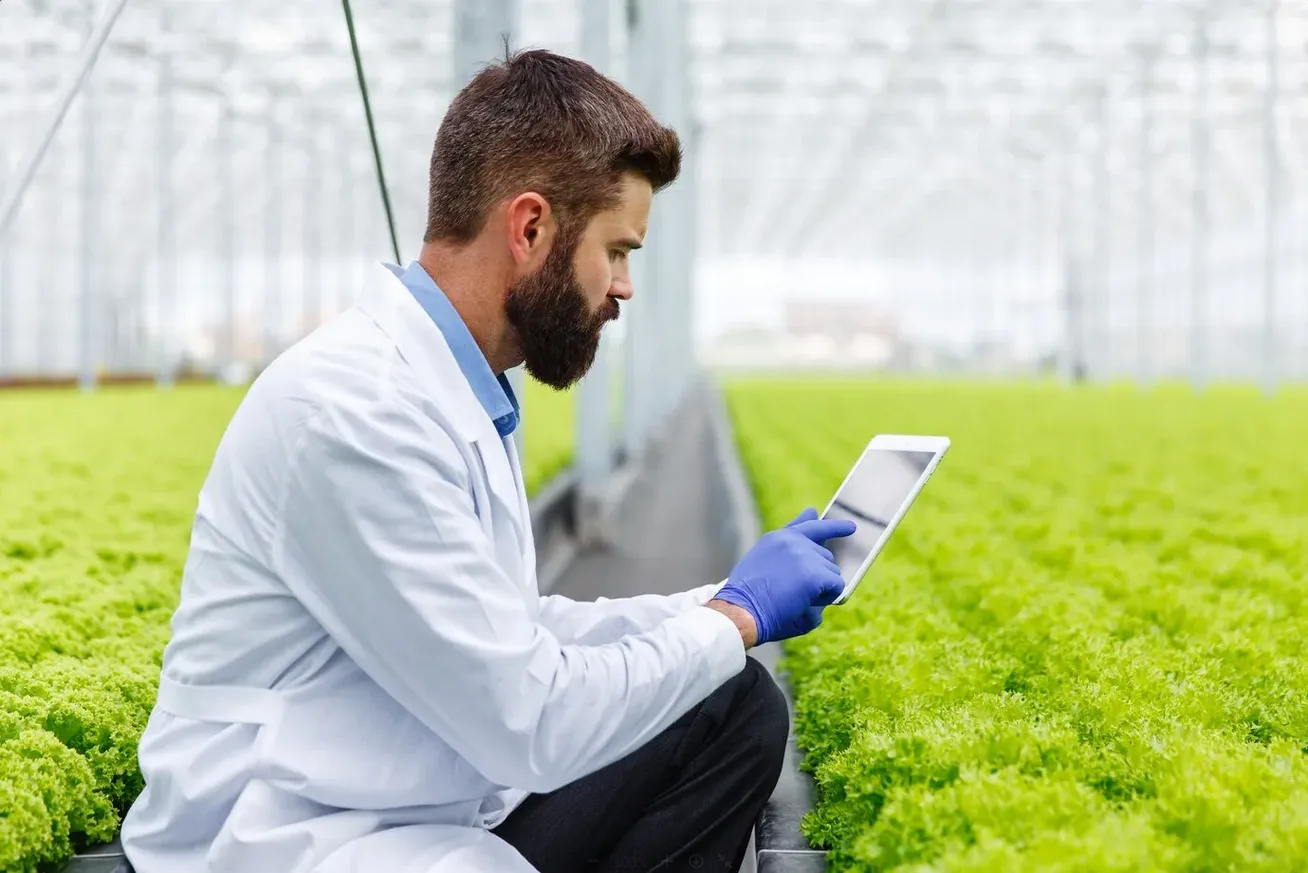 Biotecnologia no Agronegócio: Potencial e Aplicações para o Futuro