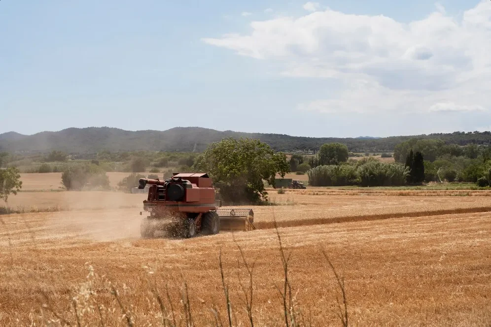 Colheitadeira em operação em uma lavoura de grãos a campo