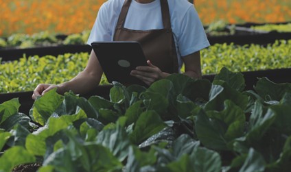 Imagem para ilustrar texto de blog sobre gestão da produção.