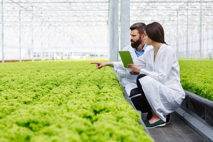 Tecnologias na Agricultura: Inovações que Transformam o Campo