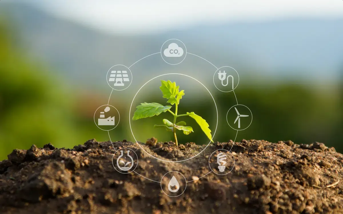 Benefícios e Desafios da Agricultura Regenerativa para o Solo e Meio Ambiente