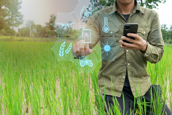 Como a Inteligência Artificial Está Transformando o Manejo Agrícola