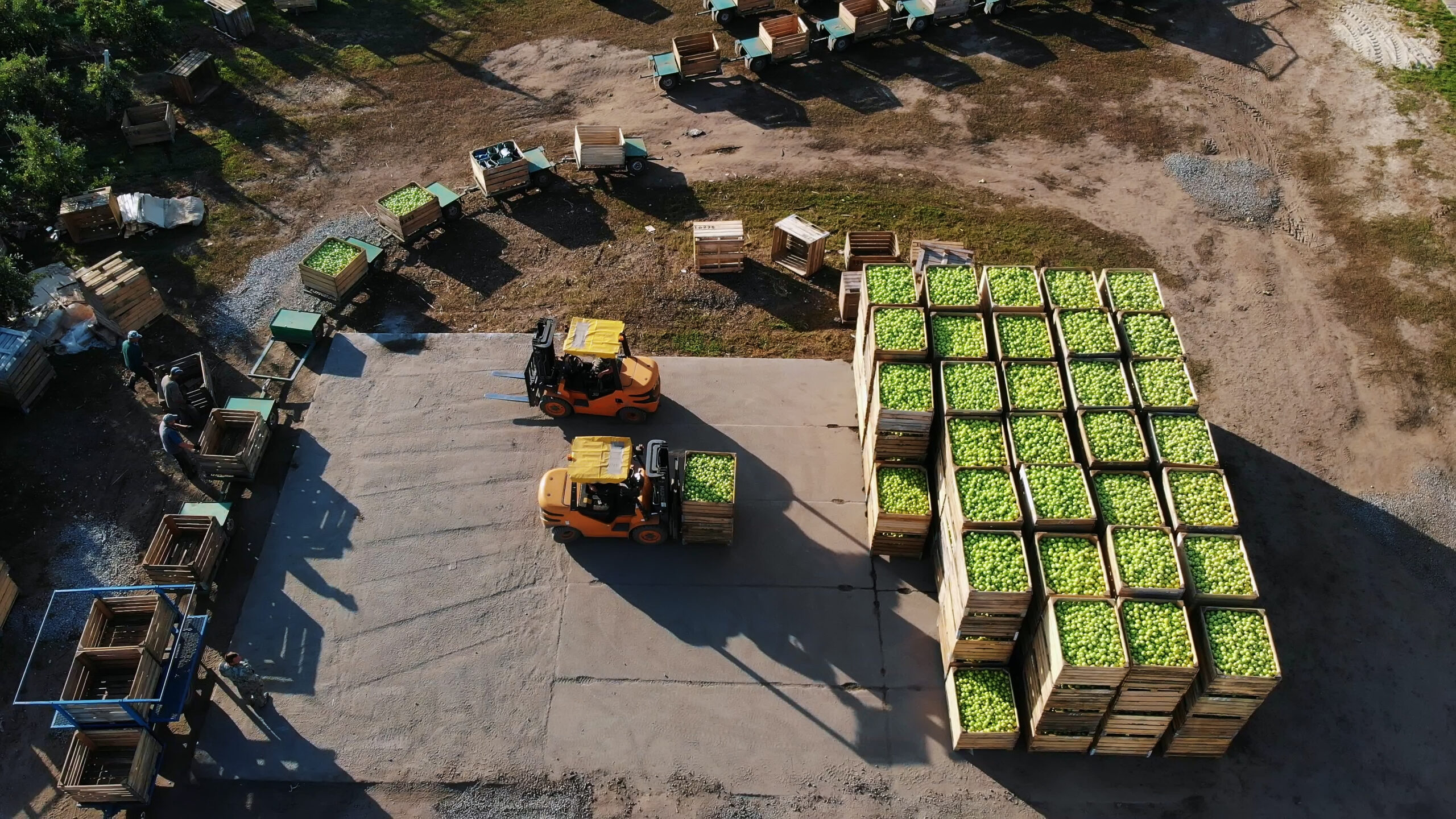 Logística de Entrega na Produção Agrícola: Como Garantir Pontualidade e Qualidade