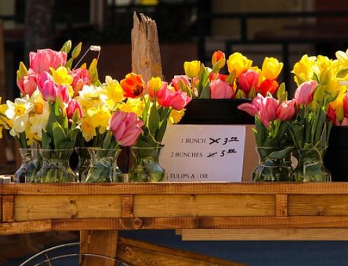 O crescimento do mercado de flores