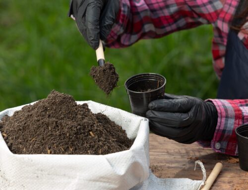 O que são biofertilizantes e qual o seu impacto no agronegócio?