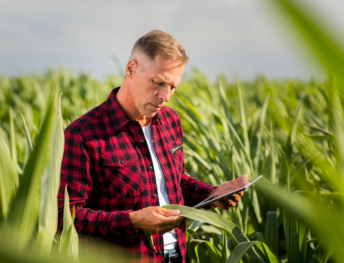 Agricultura de Precisão: Revolucionando a Produção Agrícola