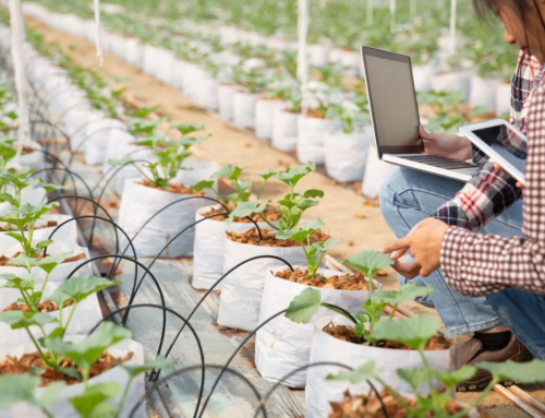 Uso de Big Data e Análise de Dados no Planejamento Agrícola