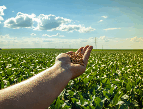 Custos Ocultos na Produção Agrícola: Como Identificá-los e Reduzir Impactos no Lucro