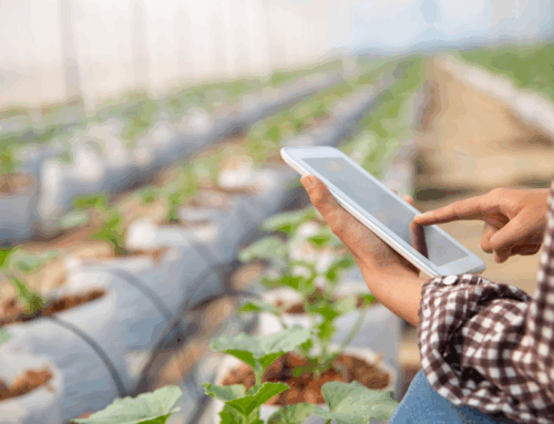 Indicadores de Desempenho Agrícola: Quais Acompanhar para Melhorar a Gestão da Produção