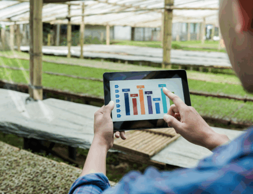 Planejamento Orçamentário na Agricultura: Por Que Seu Negócio Precisa de Um Controle Financeiro Anual