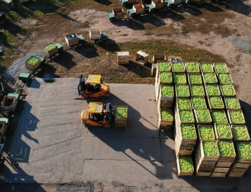 Logística de Entrega na Produção Agrícola: Como Garantir Pontualidade e Qualidade