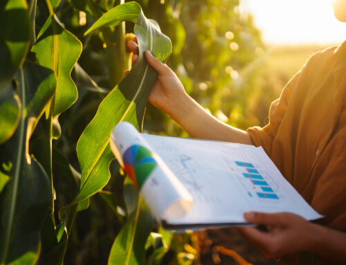 Planejamento de Safra: Como Sistemas de Gestão Ajudam a Evitar Erros e Atrasos